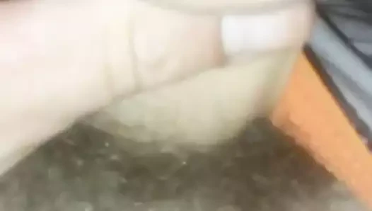 pisi