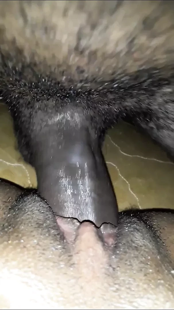 OPEN PUSSY WITH BBC