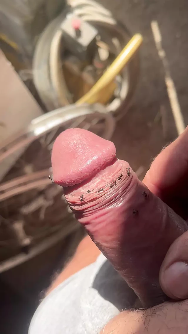 More voyeur cum