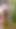 Must-see moment from "I saw an 18-year-old girl in the forest and decided to punish her! Brutal"