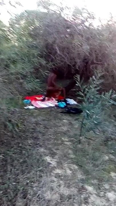 In the Bush