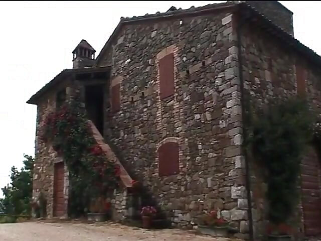 Fausse vérité - DVD