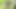 Ebony Teen Pees in the Playpen