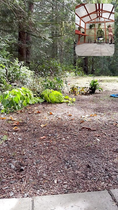 Setting up the Green House