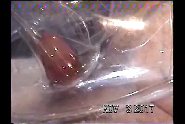 New cum in clear doll 01 snd.mpg