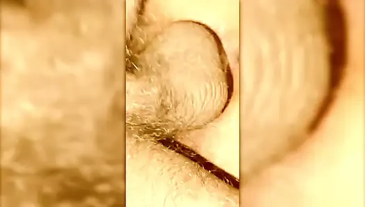 blowjob,fucking sow