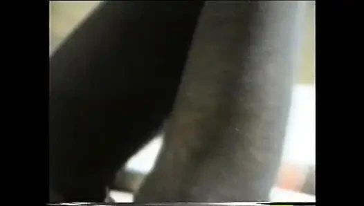 Ateşli öğrenciler sert sikişiyor