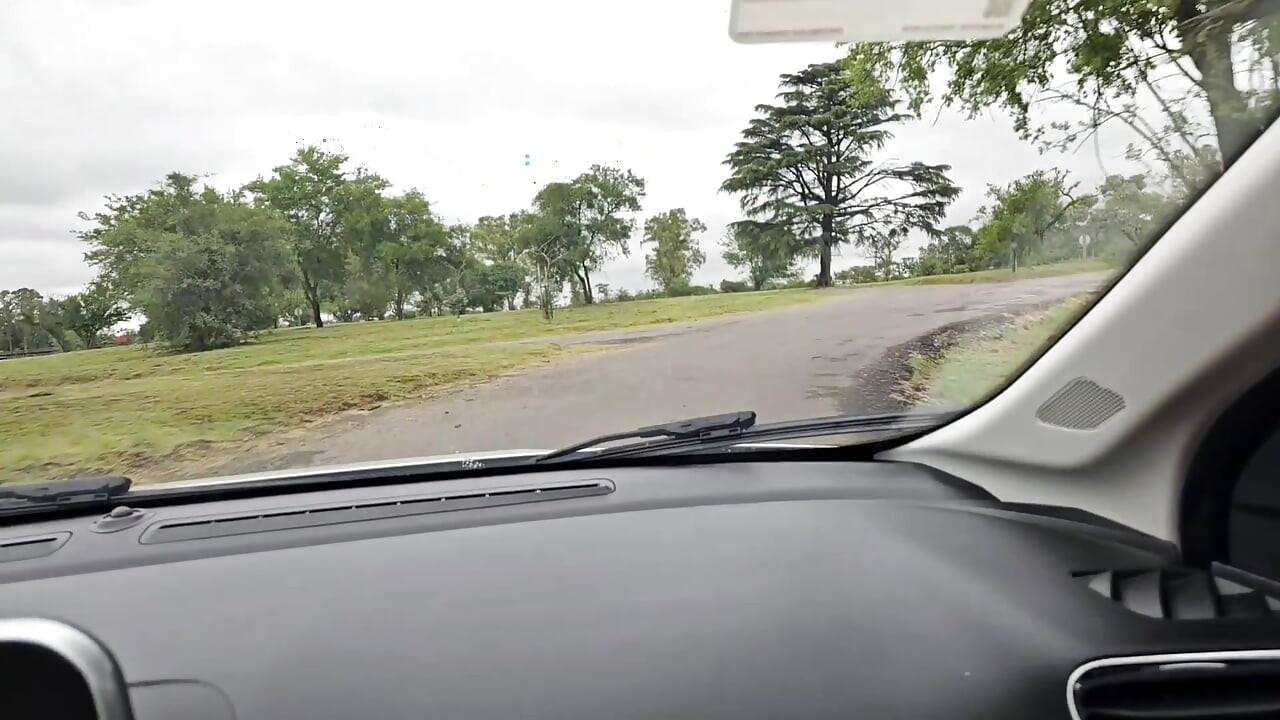 I Suck My Stepbrother's Big Dick in the Car