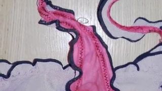 Rubbing my cock on girlfriends pink thongs