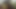 Big black cock hot Big black Dick