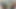 革のジャケットでフェラ