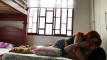 Pregled videozapisa