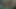 Öğretmen Evagelica bu videoyu okul grubuna havuç ateşli amcık koyarak gönderdi