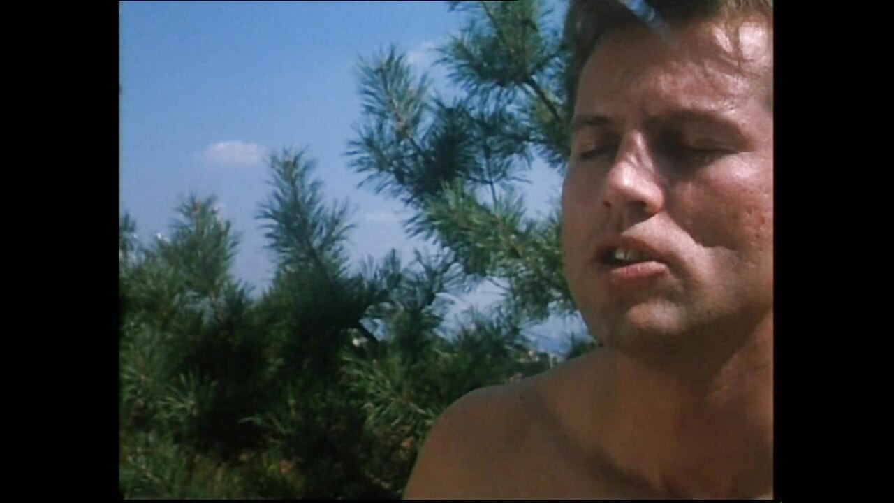 Vulgarni himski svinjski film