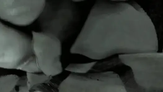 Taking Me to the Forest, She Said, Fuck Me, Rajaji, I Am Feeling Very