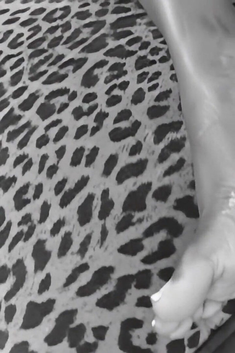 Cocoa Makes Itself Felt