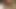 Big trans cock spitting out all his – solo hard