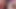This trans girl got rolled up does deepthroat and creampie BBC