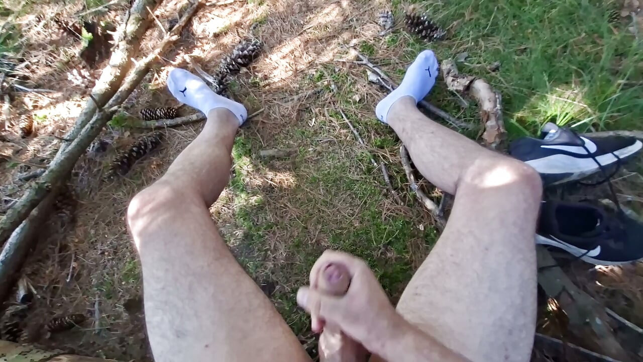 Alone in the forest, far away from everyday life