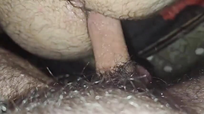 Dlakavi medved sa ogromnim dupetom pokušava moj veiny penis!