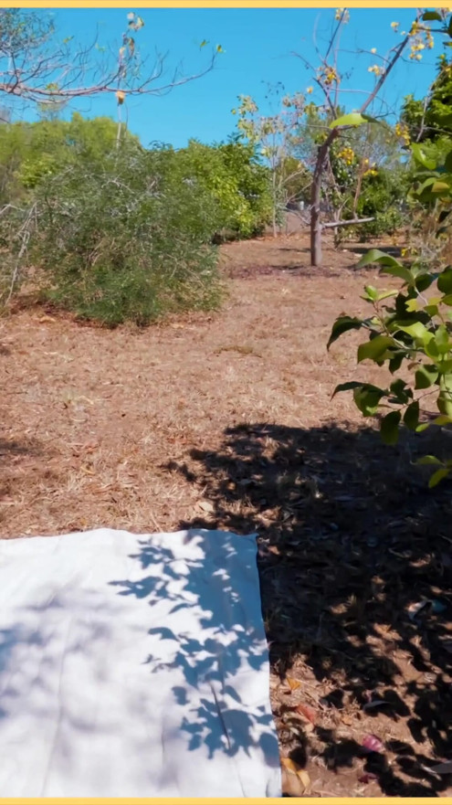 Kona er vakker når hun striper seg helt naken i offentlig park | klipp 2