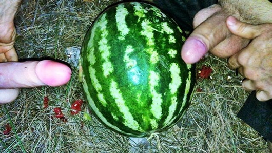 Eine Wassermelone mit einem Dildo im Wald ficken