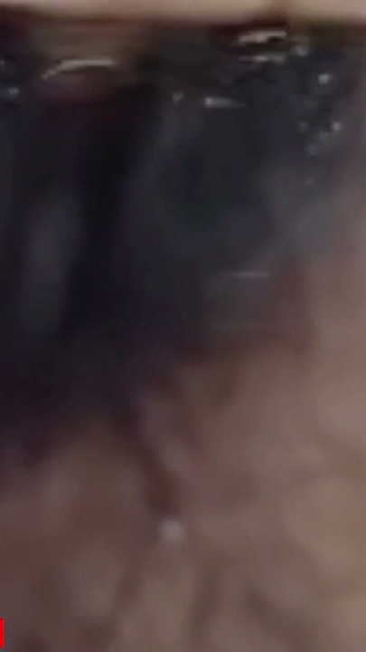 ديسي فتاة آسامية جميلة (18+) | مقطع 1