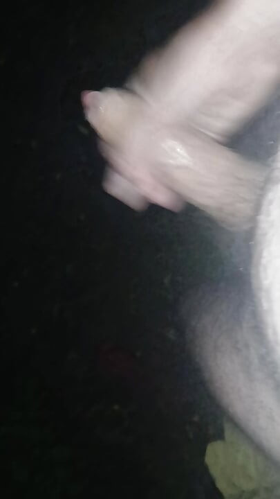 Hot night wank in the woods. What would you do if you came across me?