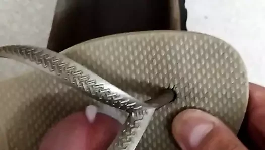 Birkenstock ve haivanas kahrolası ve sağladım