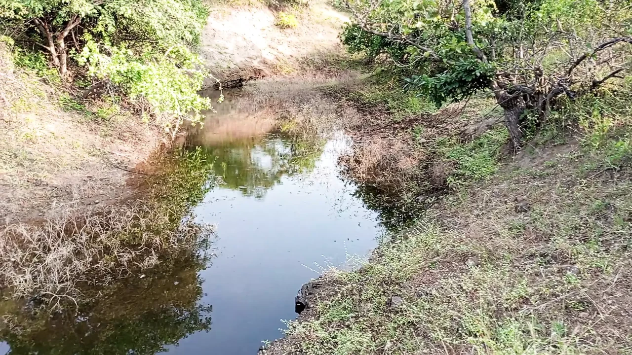 Indian Pooja Shemale and Collage Masterji Coming Forest, Nearest Water Park Area Desi Hard Fucking – Hindi Voice