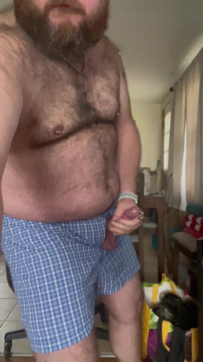 Hairy bear in boxers jerks his cock and shoots his load