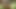 おしっこをかけて、それから犯された