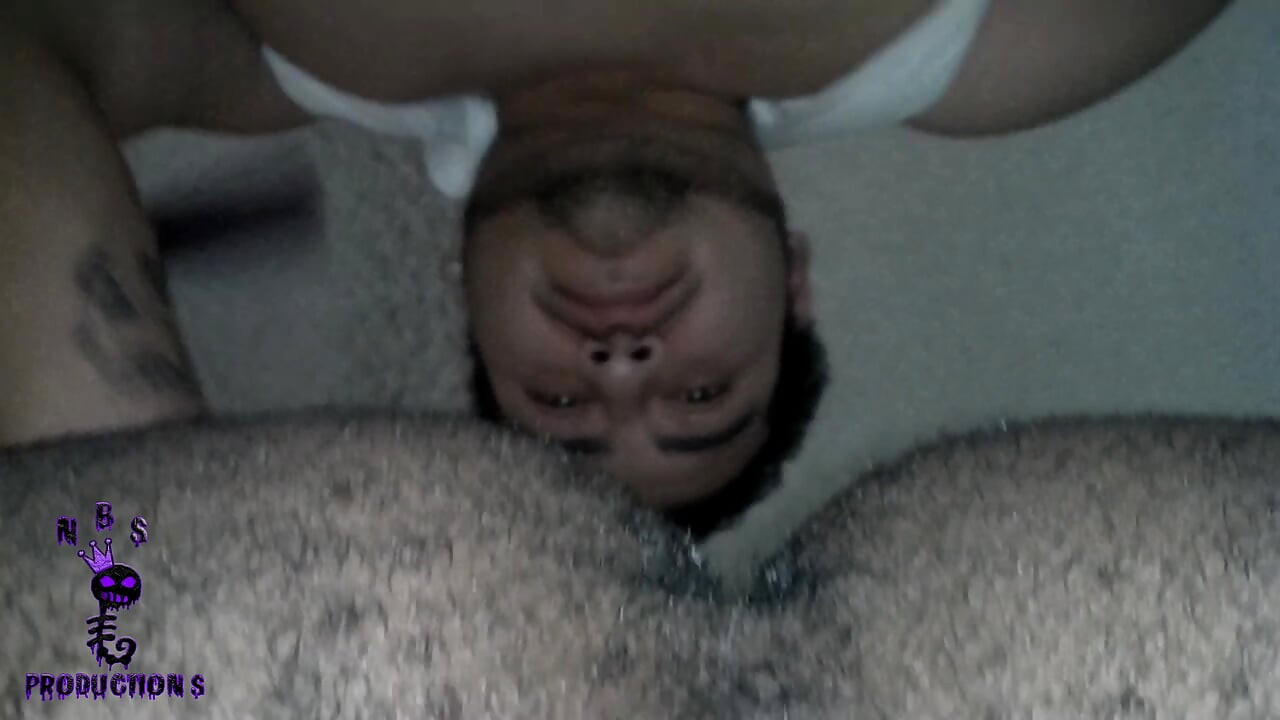 Black ब्रीडर्स 113