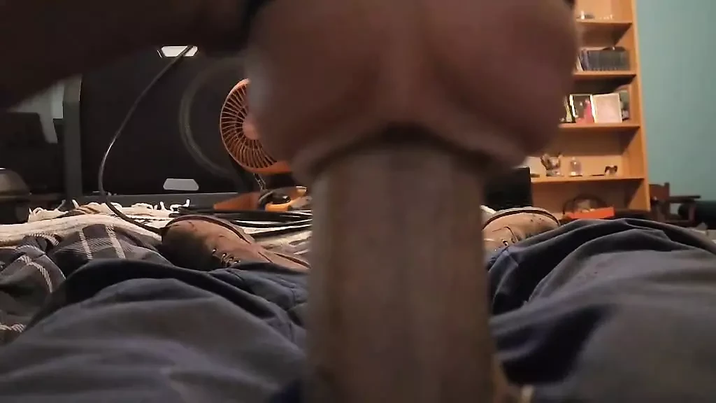 Fleshlight-plezier