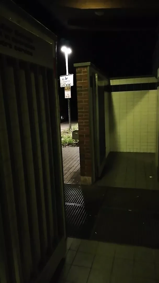 Hot risky Wank and cum in public toilett