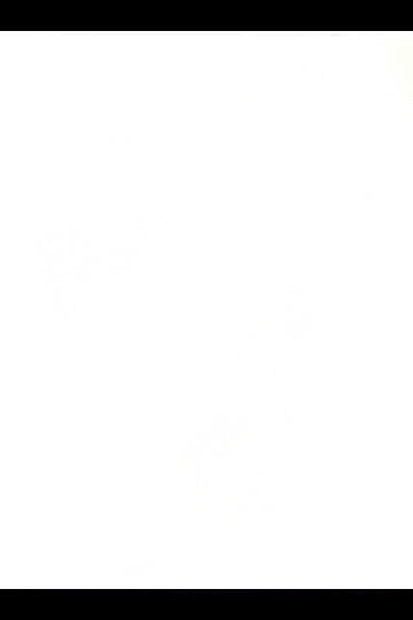 My Stepmother Gave Me This