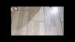 Pregled videozapisa