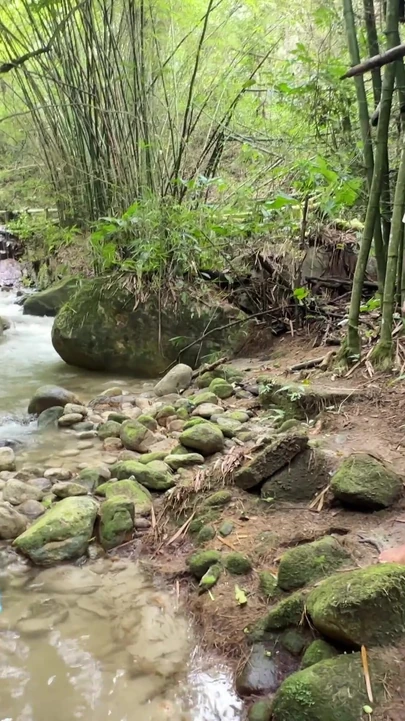 Krachtig moment van "Ik vind een rijke rondborstige vrouw die alleen in de rivier doucht en ik maak van de gelegenheid gebruik om mijn heerlijke te zetten"