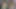 Bölüm 1 - arkadaşım fotoğrafçı beni çıplak fotoğraf çekimi için kandırdı - realsweetbunny
