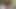 Silvia Saint in the Woods (Restored 4K 60FPS)