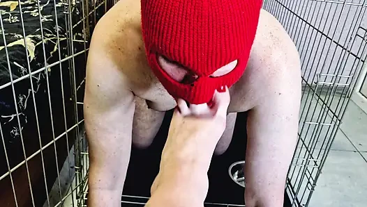 Domina Nika lässt den Sklaven aus dem Käfig kriechen, damit er sich küsst, ihre Füße leckt und ihre zehen lutscht.