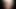 Asian faggot Timmy Tran exposed fucking itself with dildo