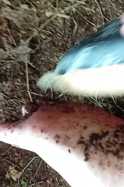 Dirty Feet Outside