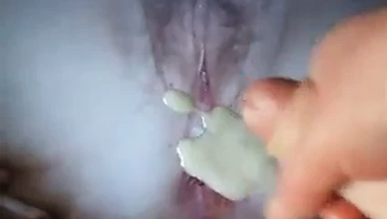haraç olgun kedi
