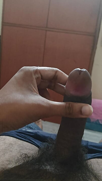 Minha rotina diária