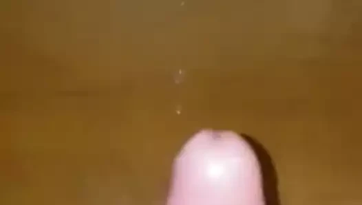 Miei video