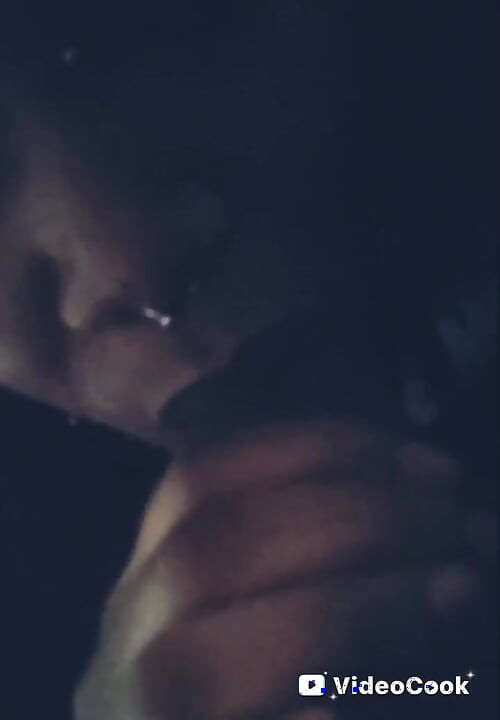 The Bonnet Chronicles, Partie 4