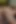 London River ve Carmin Blue seksi bir karşılaşma yapıyor