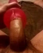 Pocket Pussy Palooza