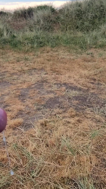 Emotional moment from "Morning Cumshot in Dansk Dunes"